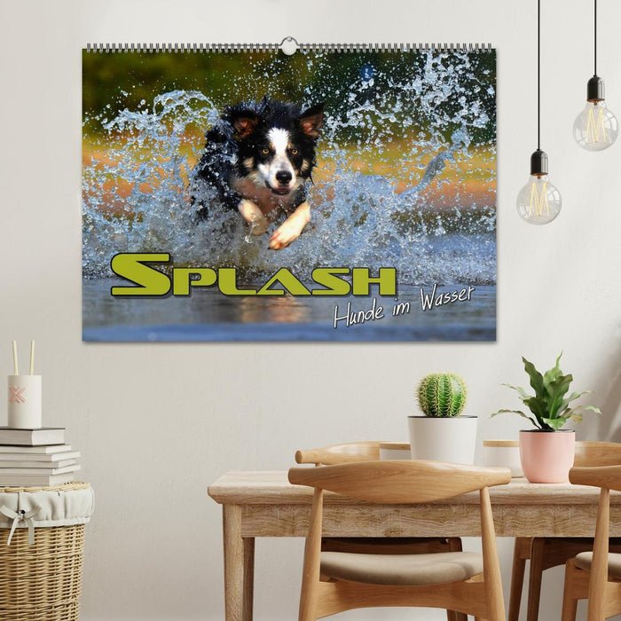 SPLASH - Chiens dans l'eau (Calendrier mural CALVENDO 2024) 