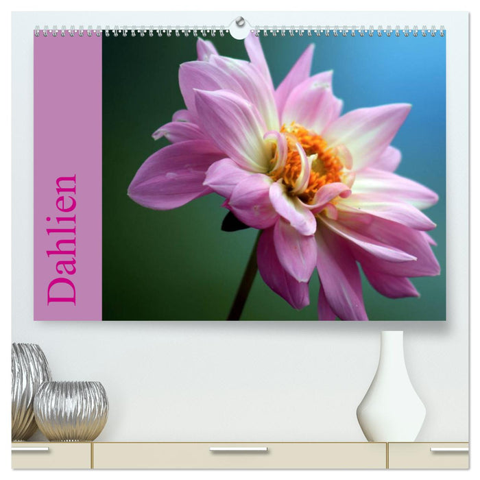 Dahlien (CALVENDO Premium Wandkalender 2024)