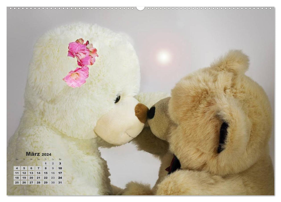 Teddys, on regarde les calendriers ? (Calendrier mural CALVENDO Premium 2024) 