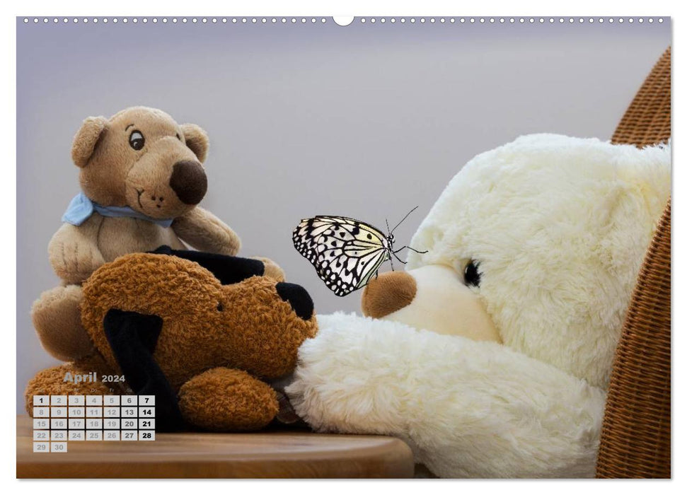 Teddys, wollen wir Kalender anschauen? (CALVENDO Premium Wandkalender 2024)