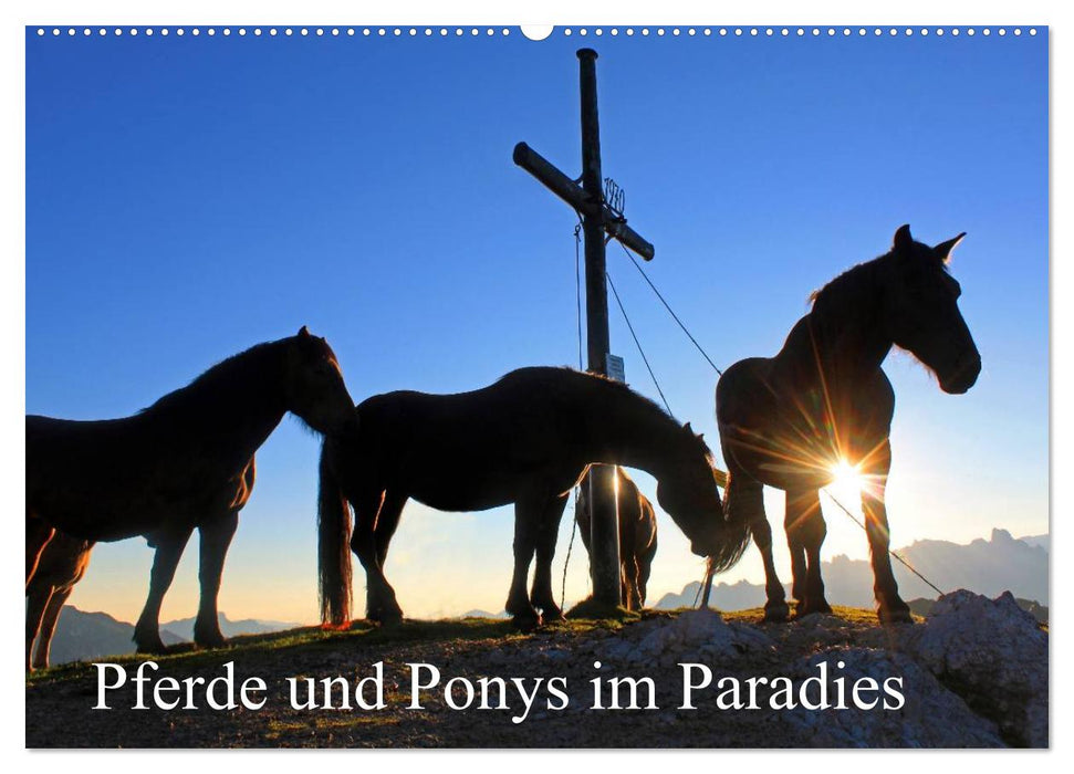 Pferde und Ponys im Paradies (CALVENDO Wandkalender 2024)