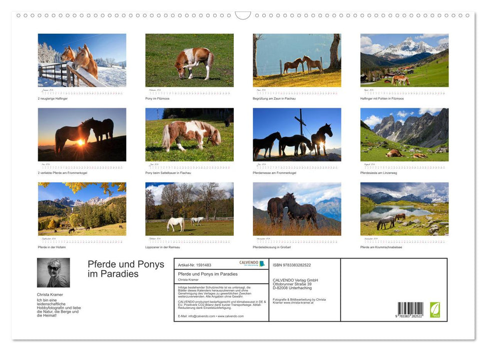 Horses and ponies in paradise (CALVENDO wall calendar 2024) 