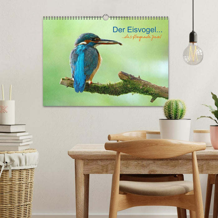 The kingfisher...flying jewel (CALVENDO wall calendar 2024) 