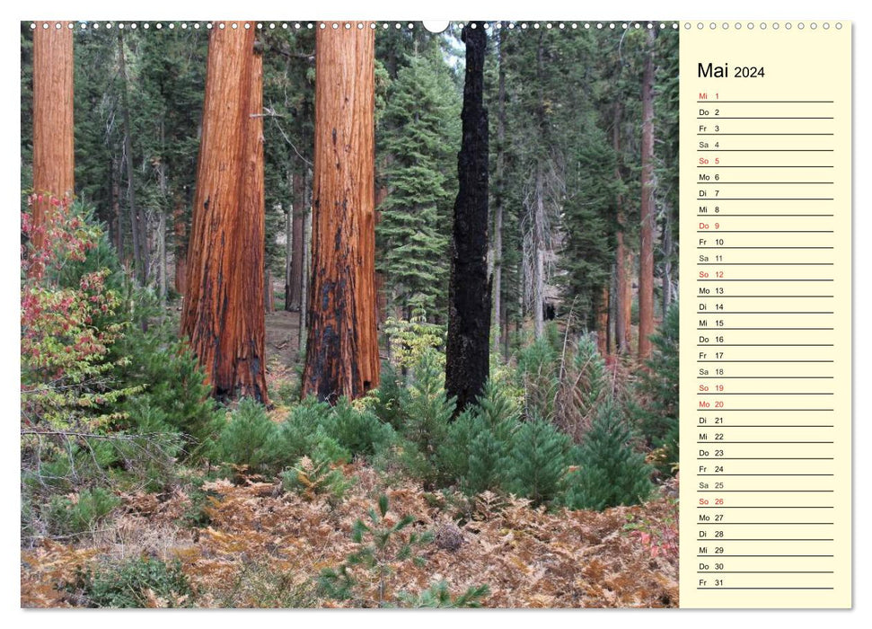 California 2024 (CALVENDO wall calendar 2024) 