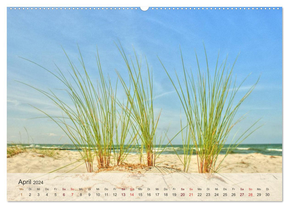 Rügen Island and Hiddensee (CALVENDO Premium Wall Calendar 2024) 