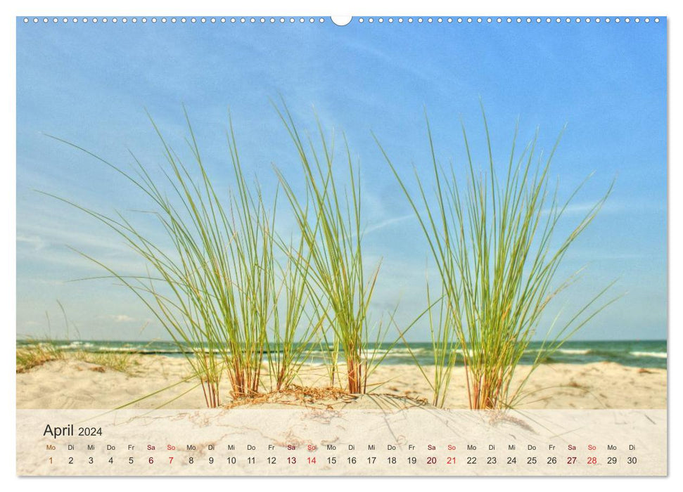 Insel Rügen und Hiddensee (CALVENDO Premium Wandkalender 2024)