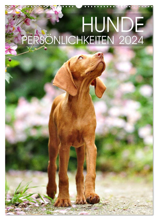 Hundepersönlichkeiten (CALVENDO Wandkalender 2024)