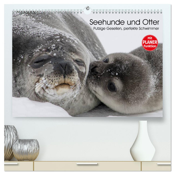 Seehunde und Otter. Putzige Gesellen, perfekte Schwimmer (CALVENDO Premium Wandkalender 2024)