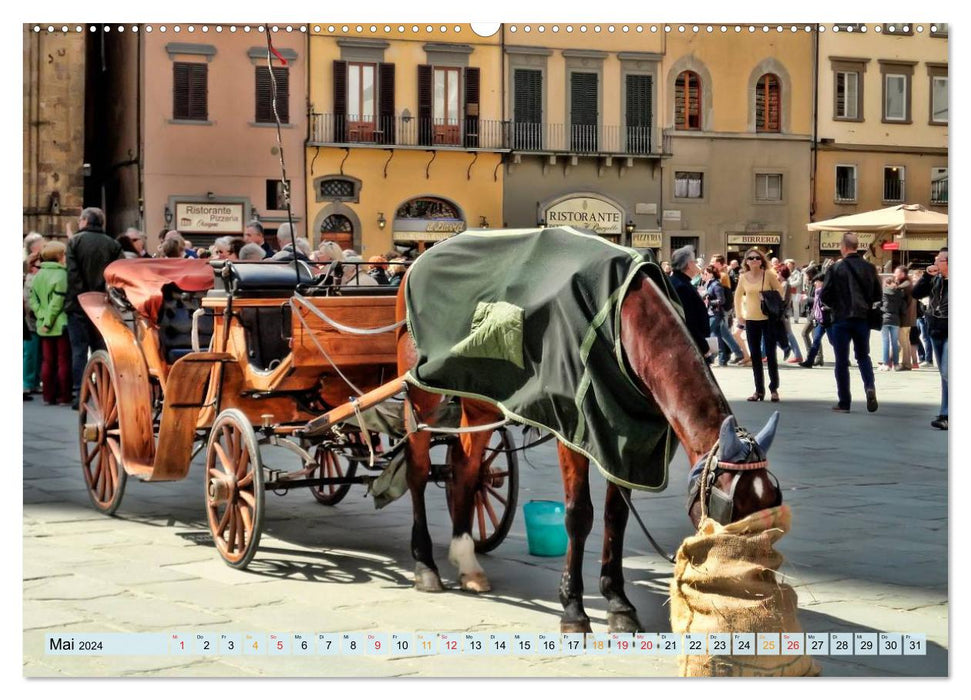 Florenz - Schönheit in der Toskana (CALVENDO Wandkalender 2024)