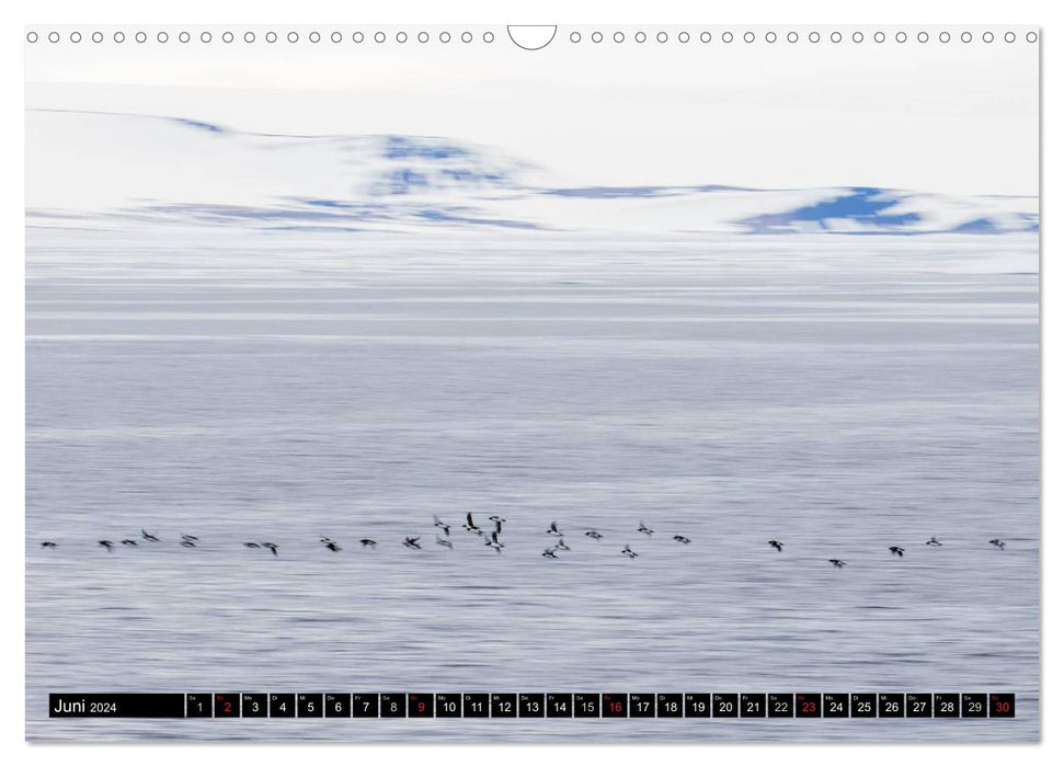 Spitzbergen - Arktische Impressionen (CALVENDO Wandkalender 2024)