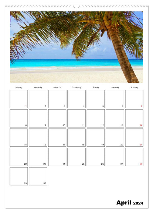 Brazil. Where the sun lives (CALVENDO wall calendar 2024) 