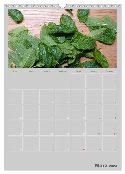 Culinary herbs and vegetables (CALVENDO wall calendar 2024) 