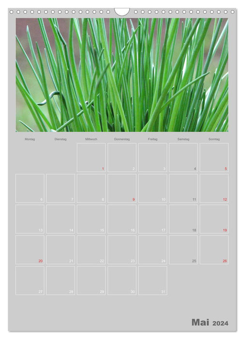 Culinary herbs and vegetables (CALVENDO wall calendar 2024) 