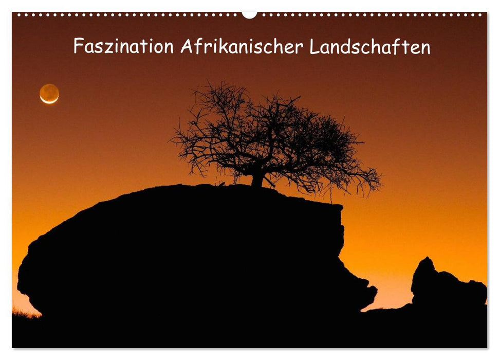 Fascination des paysages africains (Calendrier mural CALVENDO 2024) 