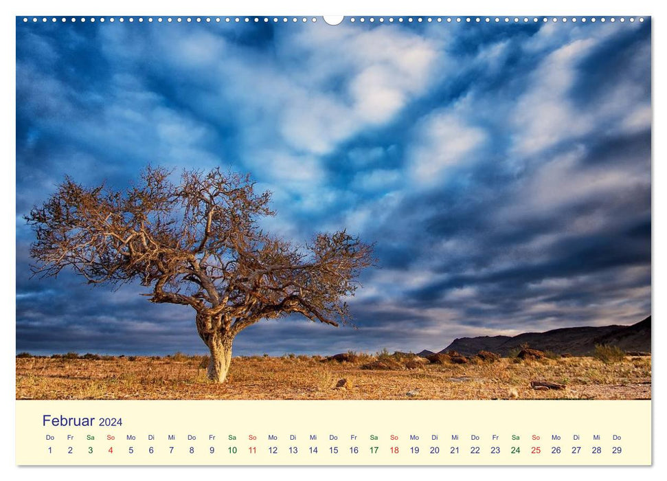 Fascination of African landscapes (CALVENDO wall calendar 2024) 