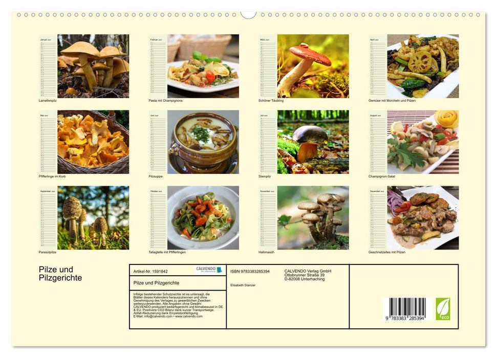 Champignons et plats de champignons (Calendrier mural CALVENDO Premium 2024) 