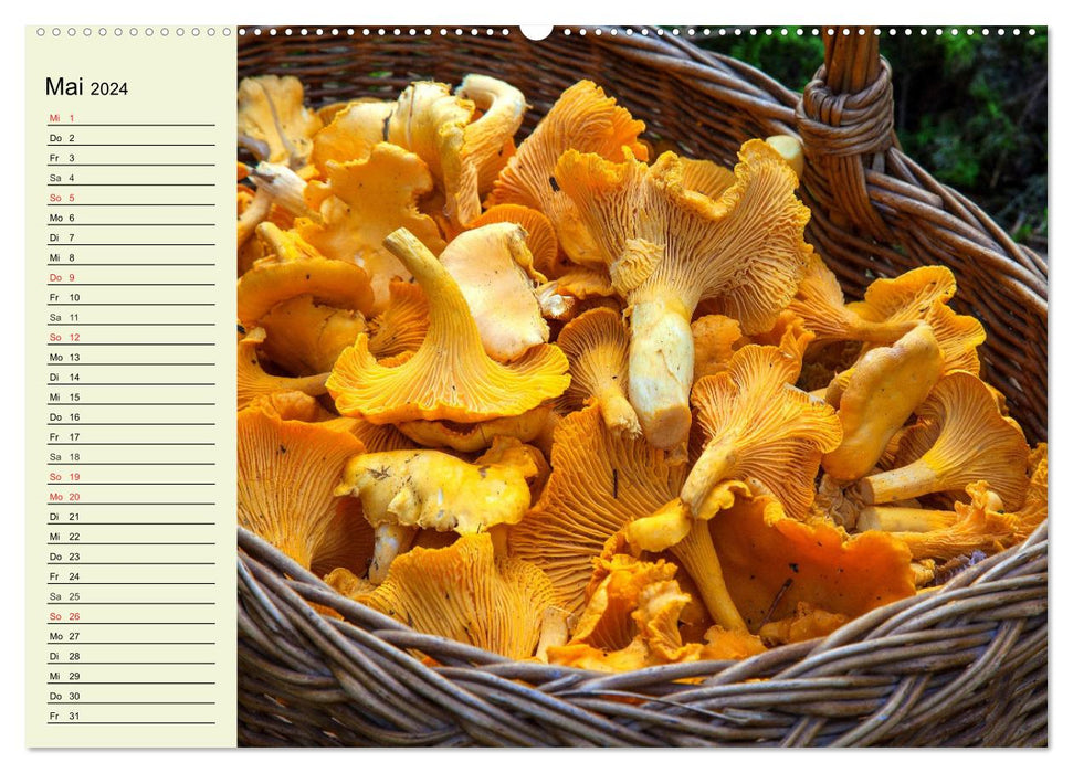 Champignons et plats de champignons (Calendrier mural CALVENDO Premium 2024) 