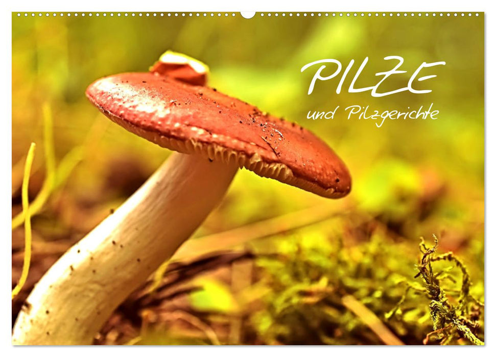 Pilze und Pilzgerichte (CALVENDO Wandkalender 2024)