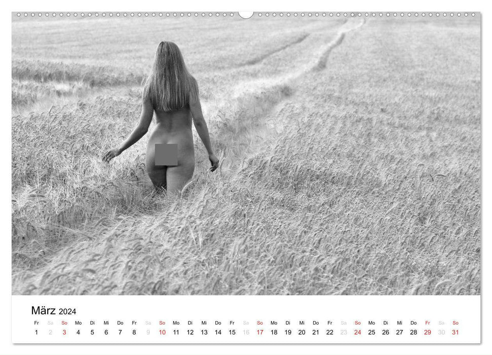 Nude classique noir et blanc (Calendrier mural CALVENDO 2024) 