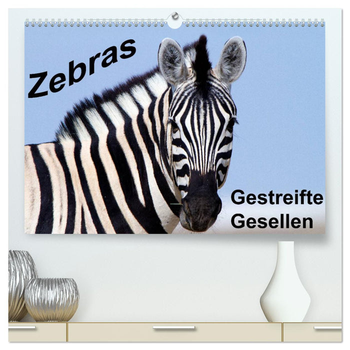 Zebras - Gestreifte Gesellen (CALVENDO Premium Wandkalender 2024)