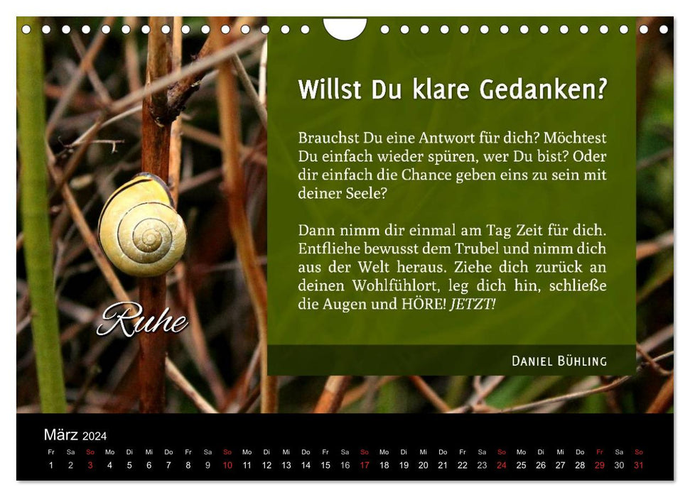 Woran hältst Du fest? (CALVENDO Wandkalender 2024)