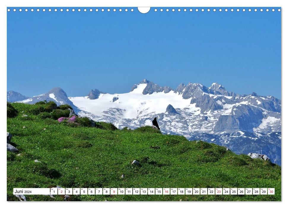 Die Alpen im Herzen von Österreich (CALVENDO Wandkalender 2024)