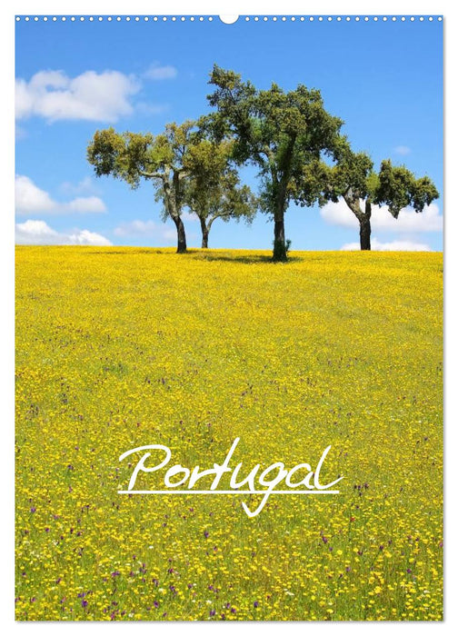 Portugal (calendrier mural CALVENDO 2024) 