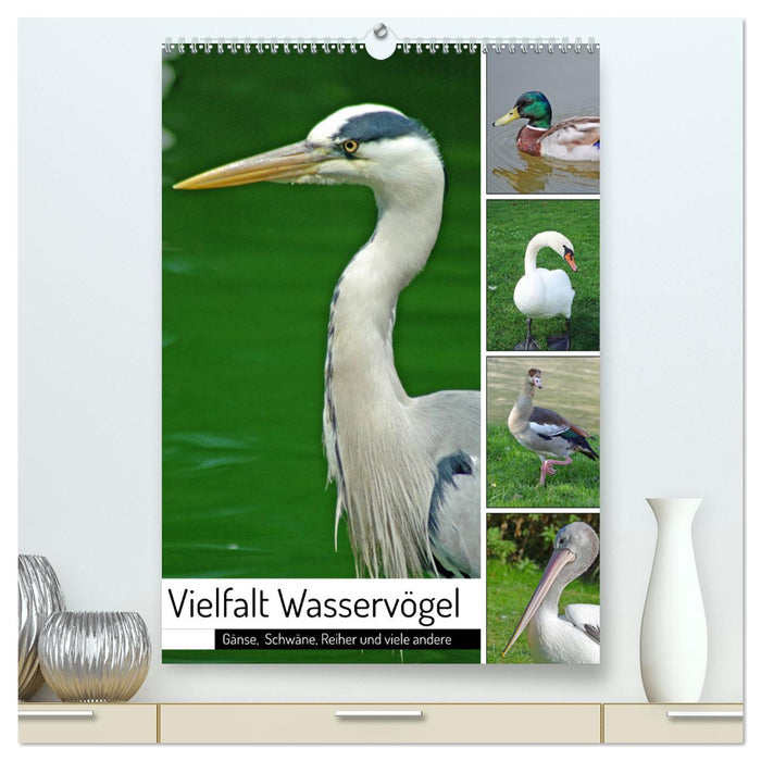Vielfalt Wasservögel (CALVENDO Premium Wandkalender 2024)