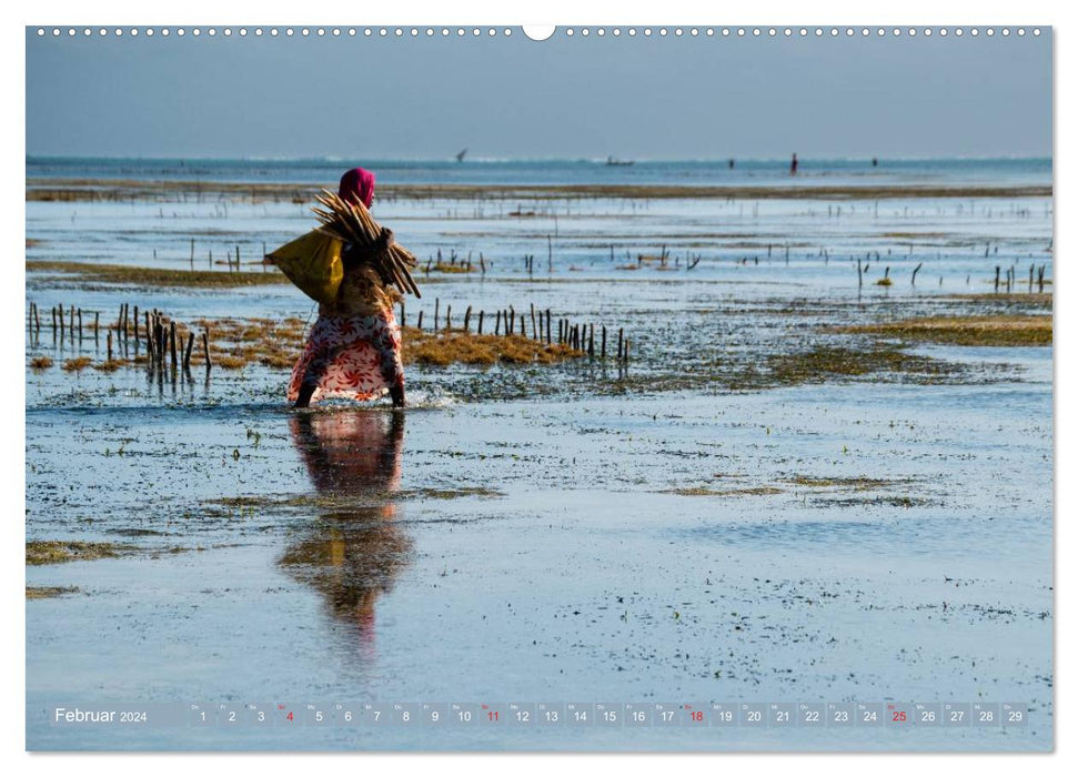 Sansibar - Impressionen von Rolf Dietz (CALVENDO Wandkalender 2024)