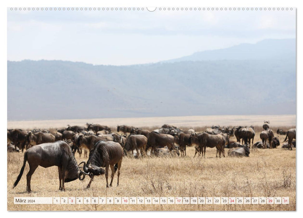 Tansania - Durch die Nationalparks Ostafrikas (CALVENDO Premium Wandkalender 2024)