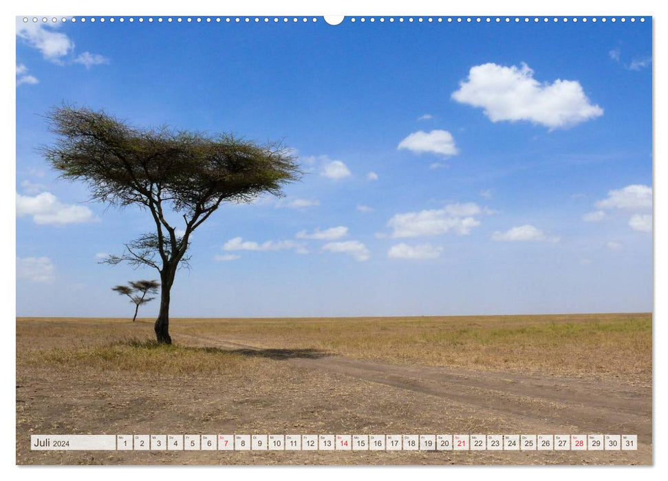 Tanzania - Through the national parks of East Africa (CALVENDO Premium Wall Calendar 2024) 