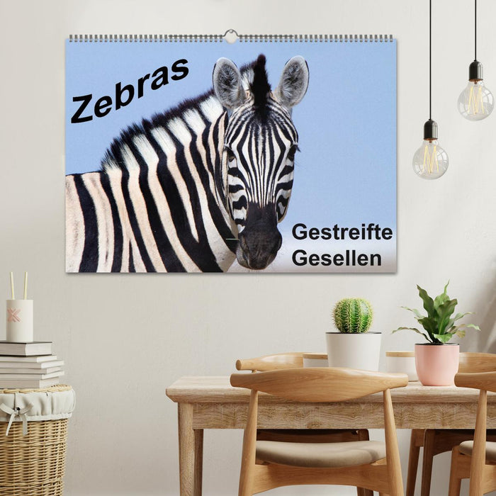 Zebras - Striped Fellows (CALVENDO Wall Calendar 2024) 