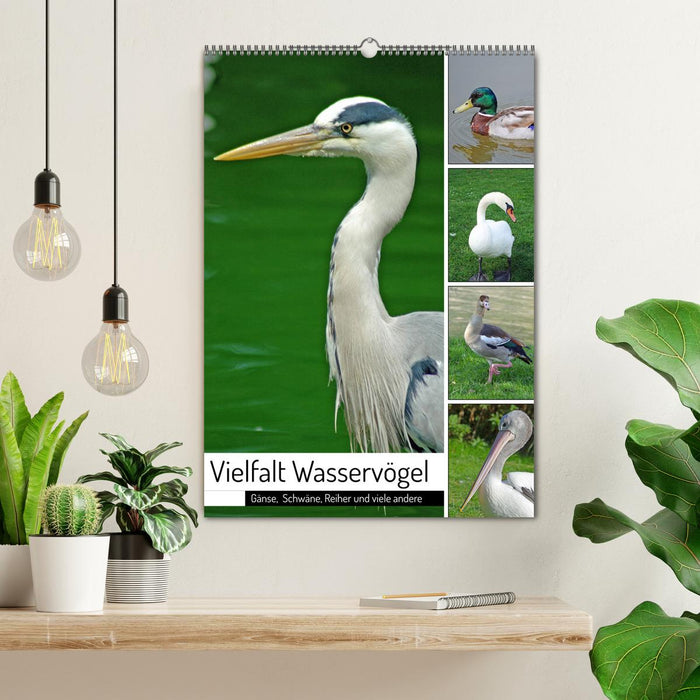 Vielfalt Wasservögel (CALVENDO Wandkalender 2024)