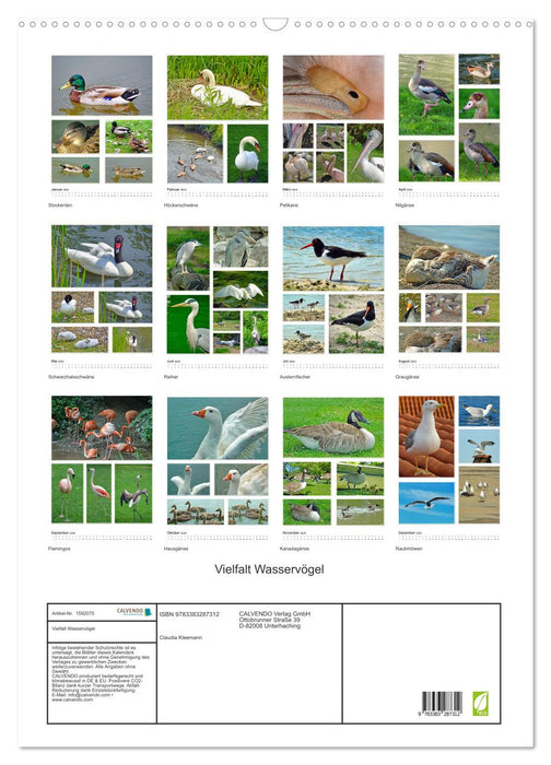 Diversité des oiseaux aquatiques (Calendrier mural CALVENDO 2024) 