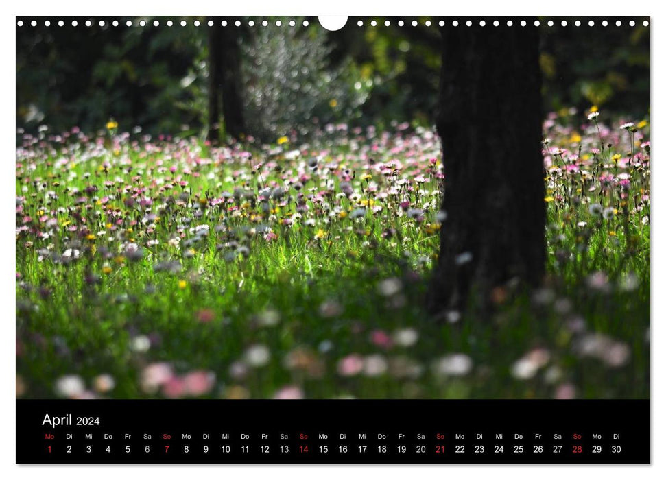 Provence 2024 - Silent Pictures (CALVENDO Wall Calendar 2024) 