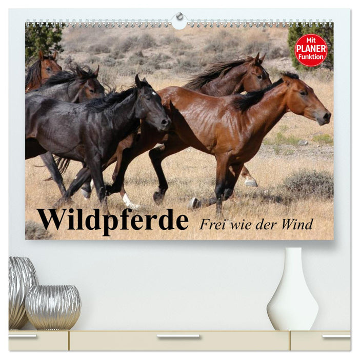 Chevaux sauvages. Libre comme le vent (Calendrier mural CALVENDO Premium 2024) 