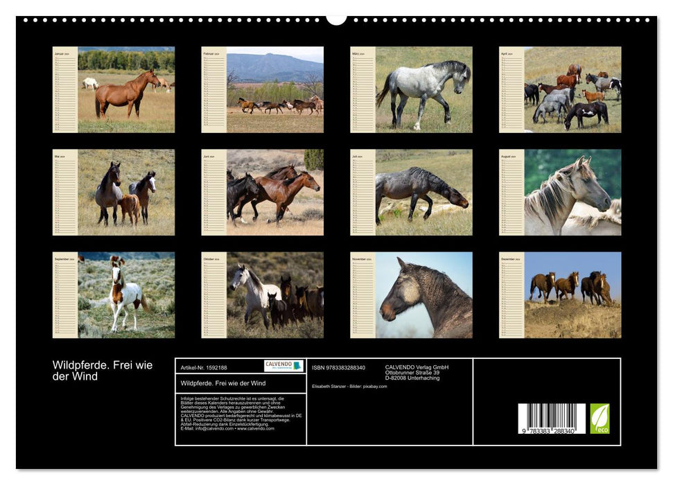 Chevaux sauvages. Libre comme le vent (Calendrier mural CALVENDO Premium 2024) 