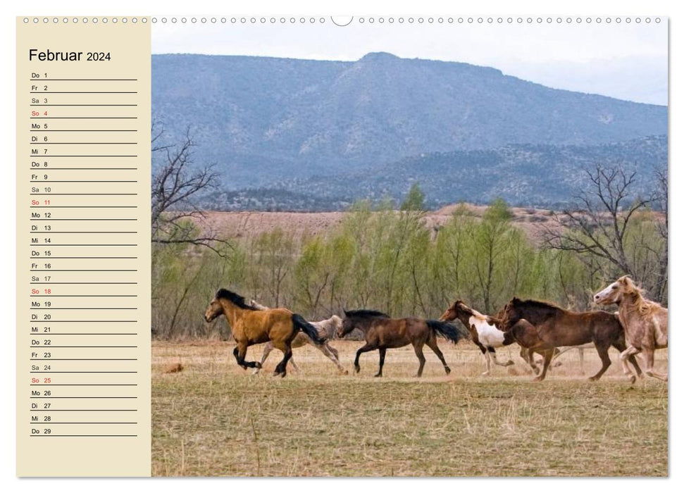 Wild horses. Free as the wind (CALVENDO Premium wall calendar 2024) 