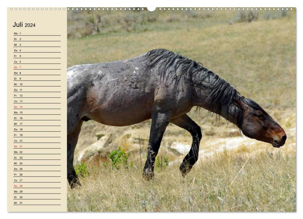 Chevaux sauvages. Libre comme le vent (Calendrier mural CALVENDO Premium 2024) 