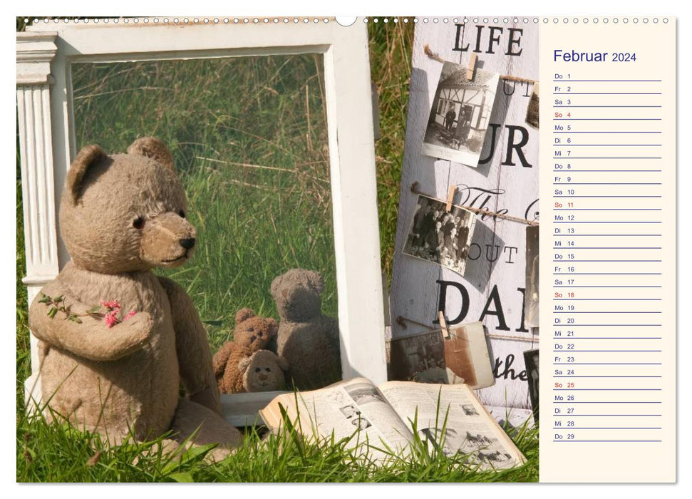 Geliebte Bären - Teddys (CALVENDO Premium Wandkalender 2024)