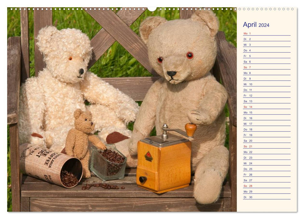 Geliebte Bären - Teddys (CALVENDO Premium Wandkalender 2024)