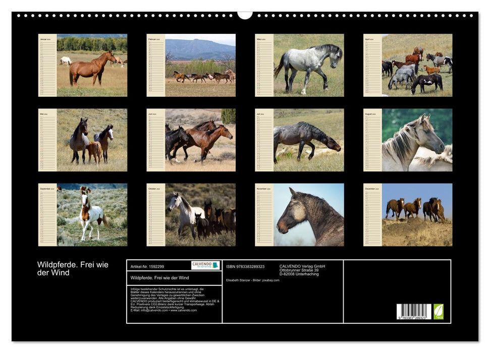 Wild horses. Free as the wind (CALVENDO wall calendar 2024) 