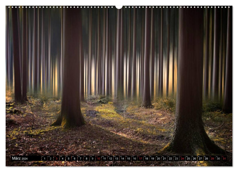 Magical Saxon Forest (CALVENDO Premium Wall Calendar 2024) 