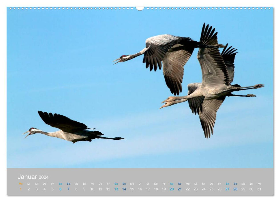 Nature Park at Stettiner Lagoon (CALVENDO Premium Wall Calendar 2024) 