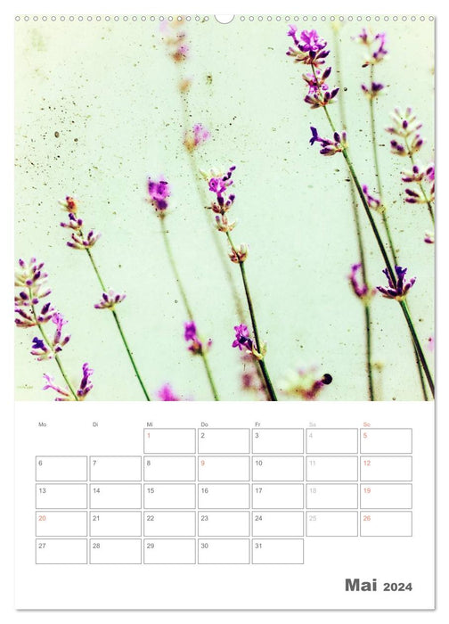 Blumige Fotomalerei (CALVENDO Premium Wandkalender 2024)