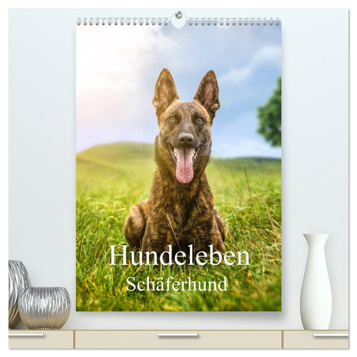 Hundeleben Schäferhund (CALVENDO Premium Wandkalender 2024)