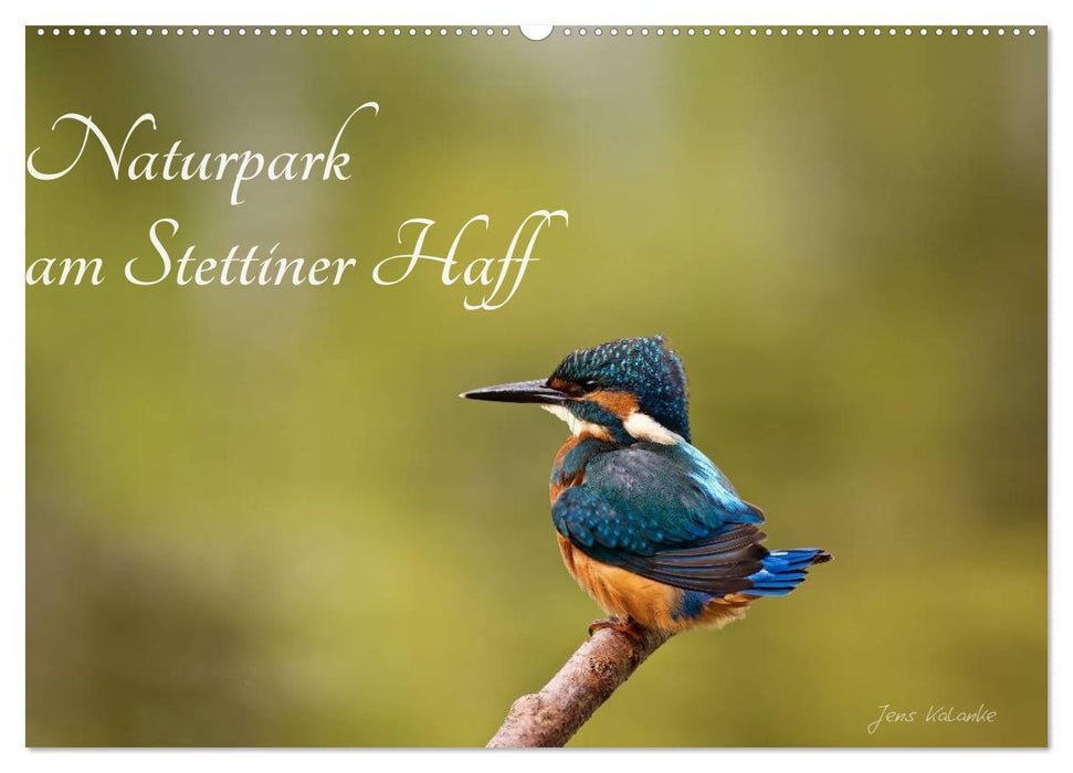 Nature Park at Stettiner Lagoon (CALVENDO wall calendar 2024) 