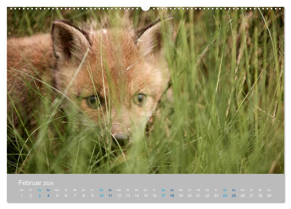 Naturpark am Stettiner Haff (CALVENDO Wandkalender 2024)