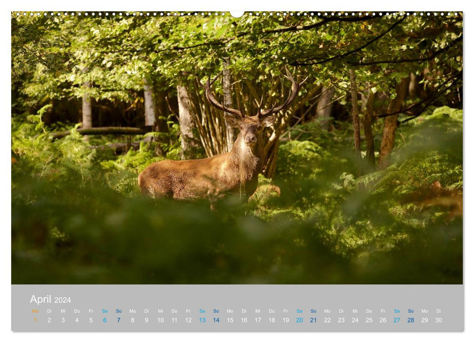 Naturpark am Stettiner Haff (CALVENDO Wandkalender 2024)