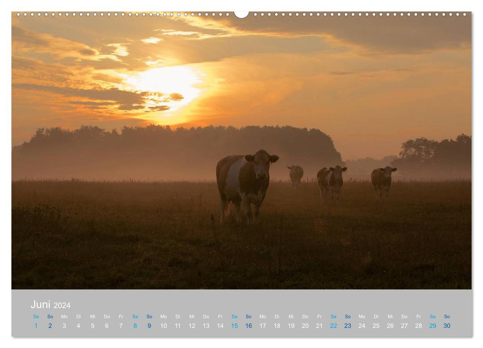 Naturpark am Stettiner Haff (CALVENDO Wandkalender 2024)